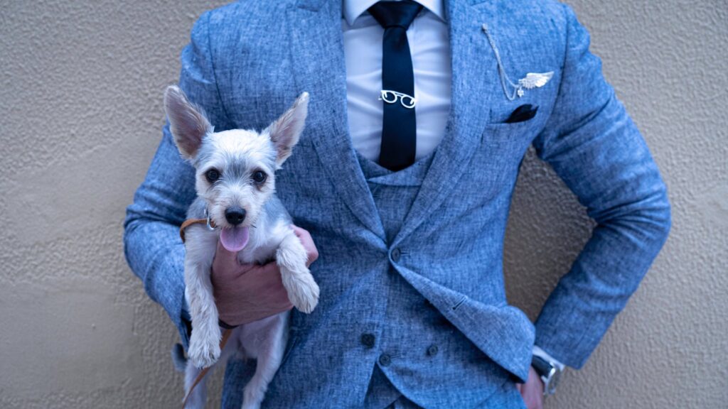 A well-dressed man in a blue suit holding an adorable small dog against a wall.