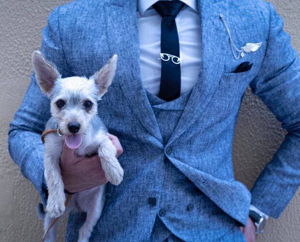 A well-dressed man in a blue suit holding an adorable small dog against a wall.